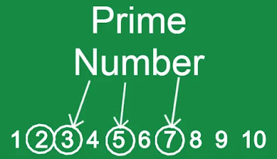 prime number definition prime number definition