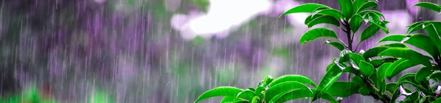 barish-kaise-hoti-hai barish-kaise-hoti-hai