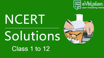 NCERT Solutions NCERT Solutions